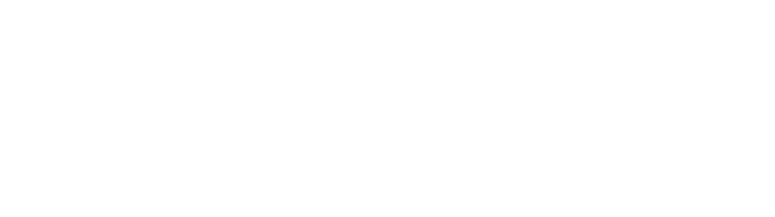 DISC Talentoria